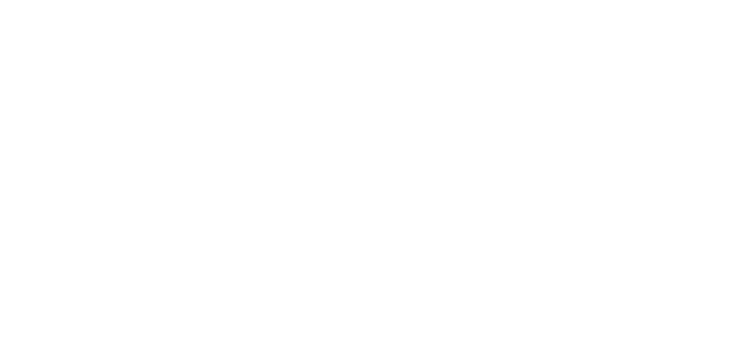올라포토